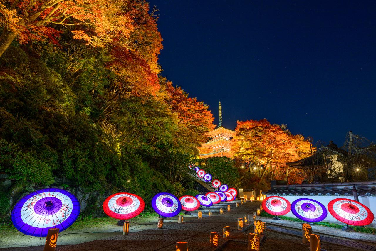 岡寺（龍蓋寺）