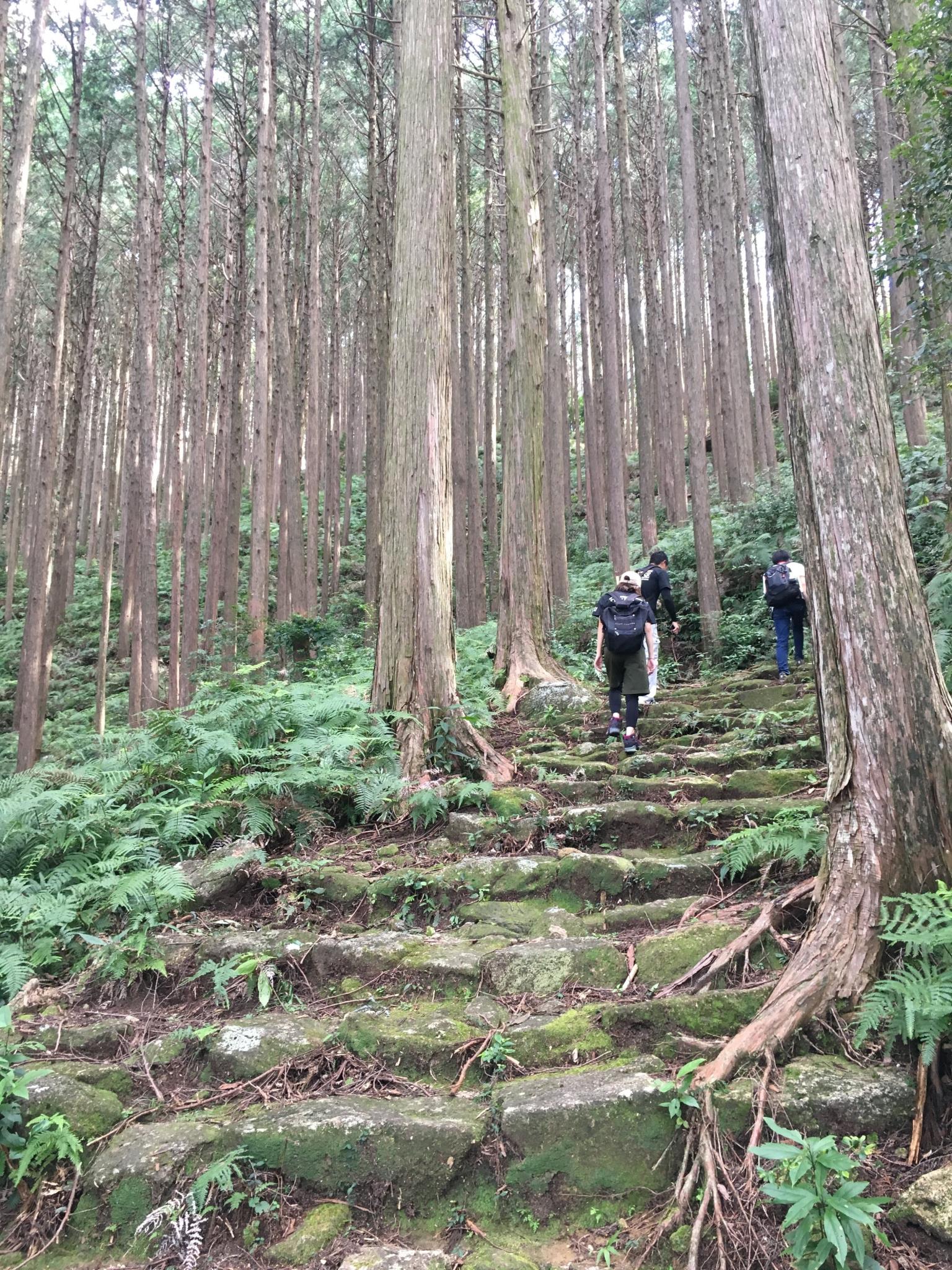 曽根次郎坂太郎坂