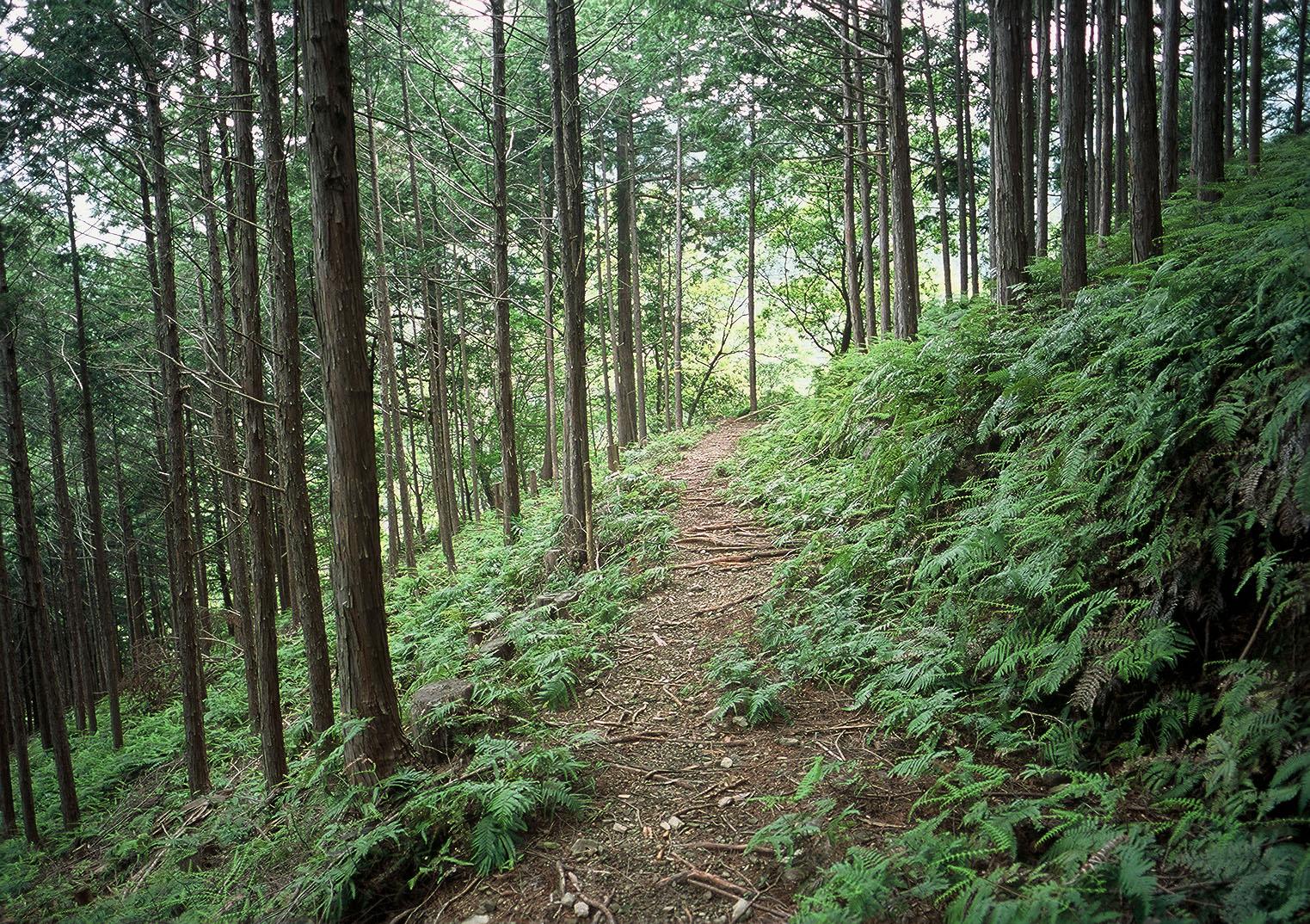 三浦峠