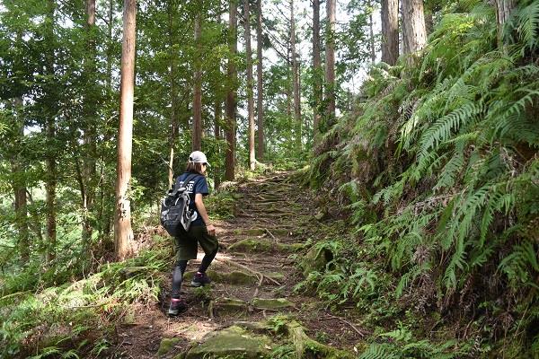 三木峠・羽後峠