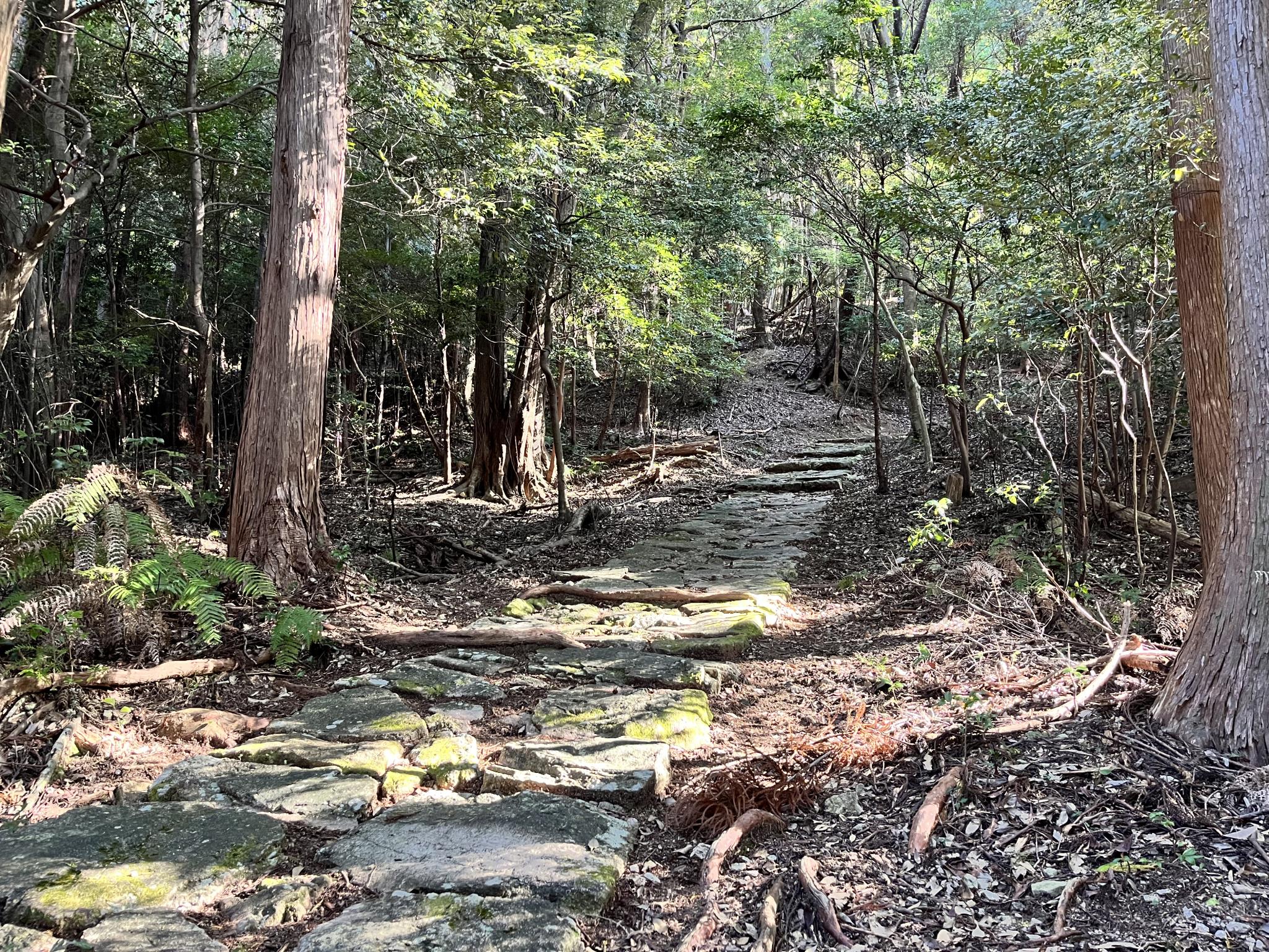 熊野古道　横垣峠