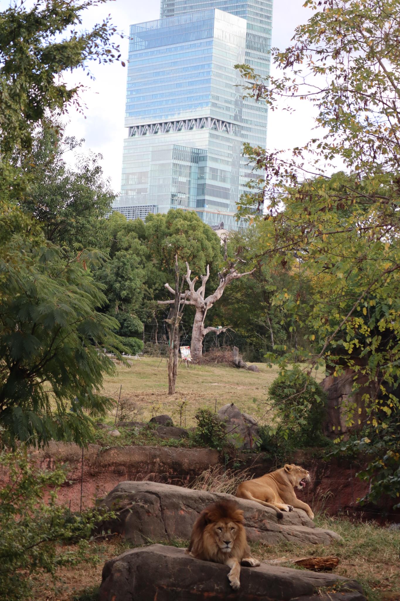 天王寺動物園