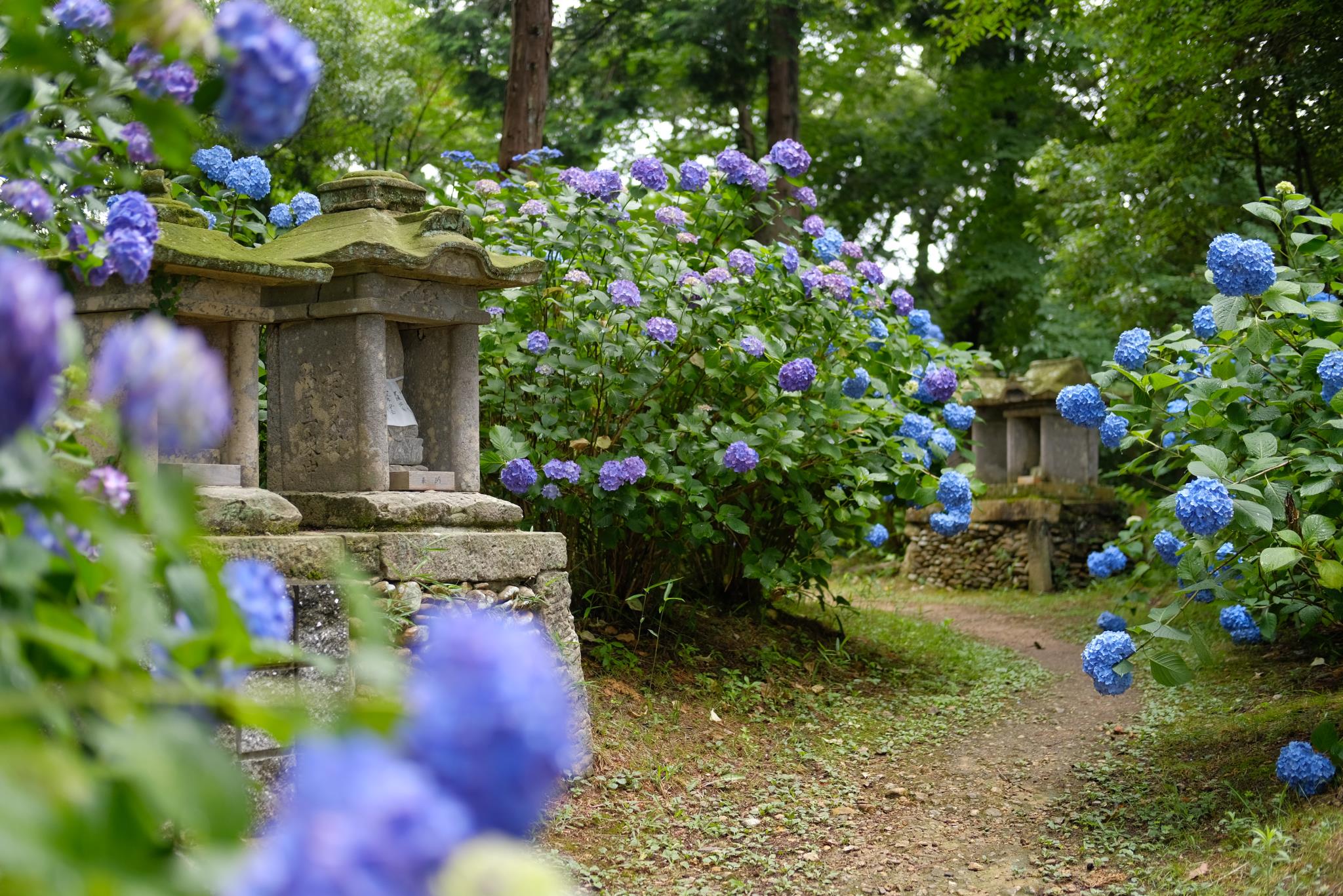 浄土寺