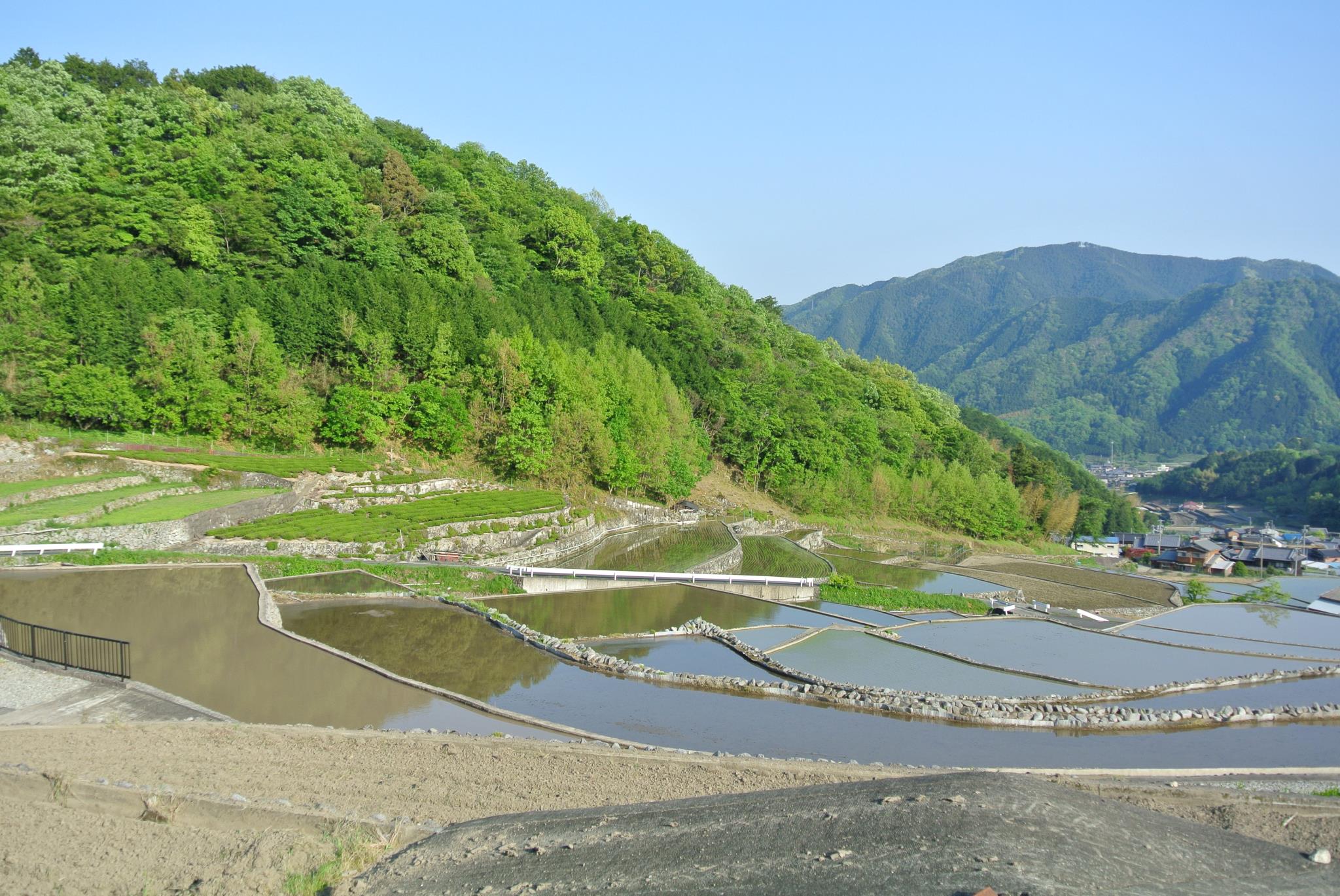 深野だんだん田