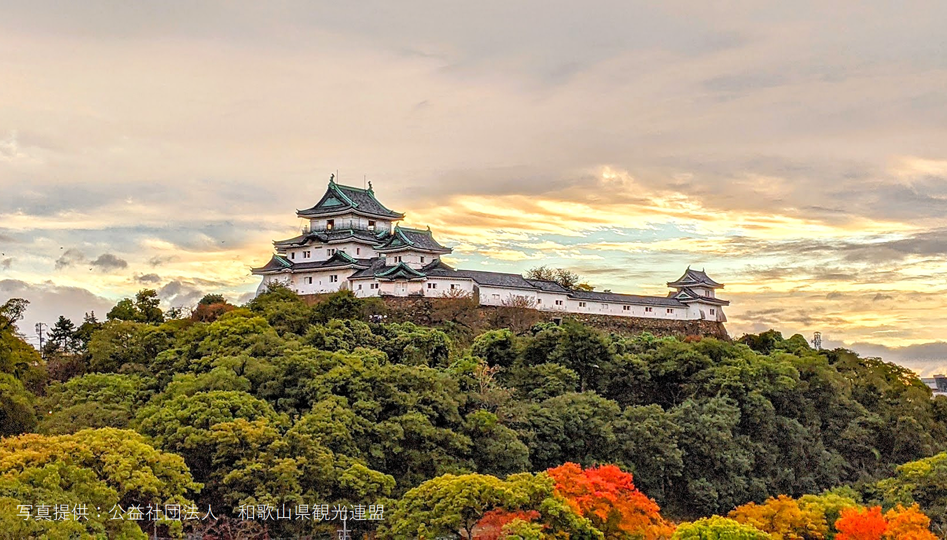 和歌山城（天守閣）