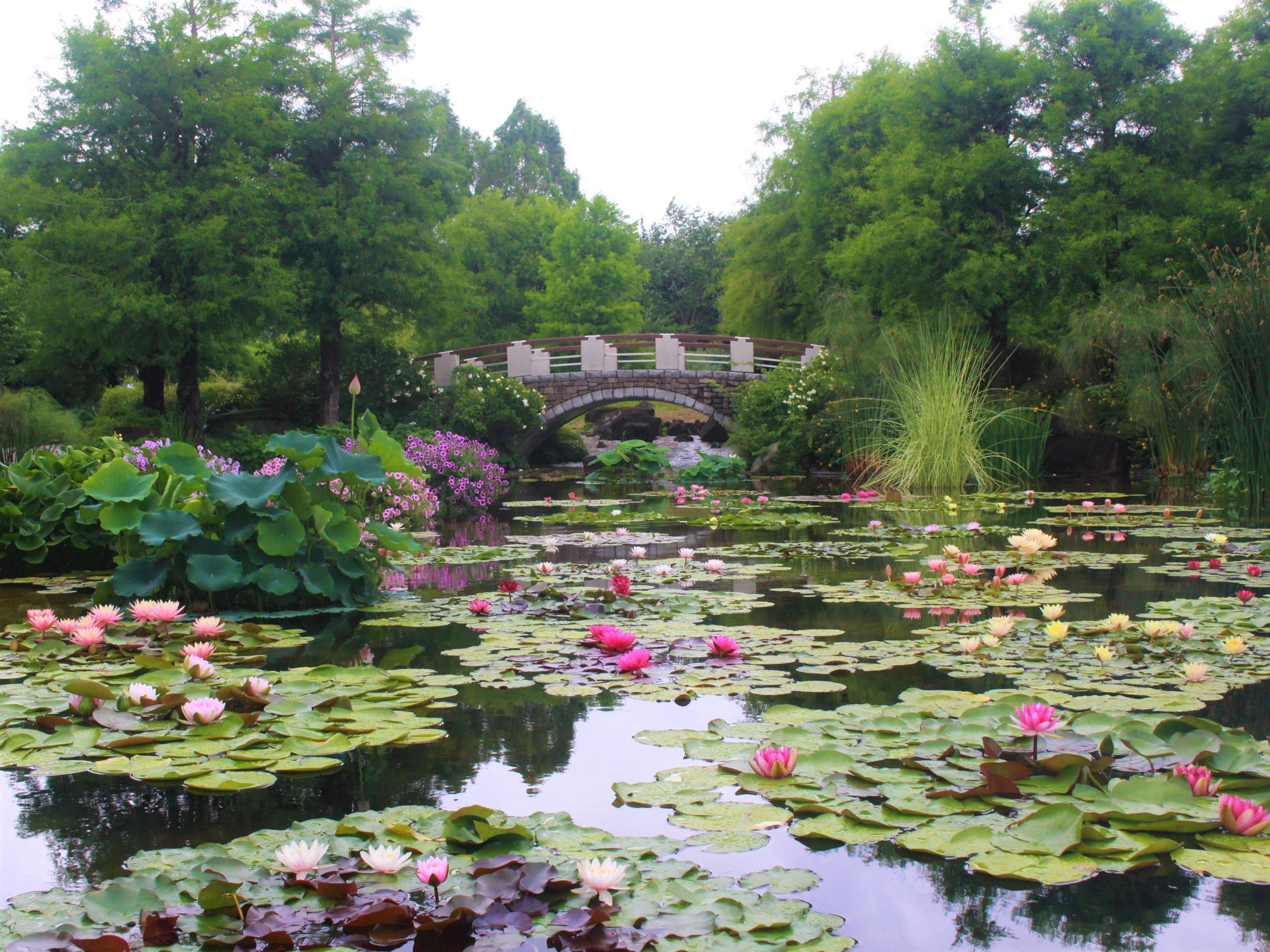 草津市立水生植物公園みずの森