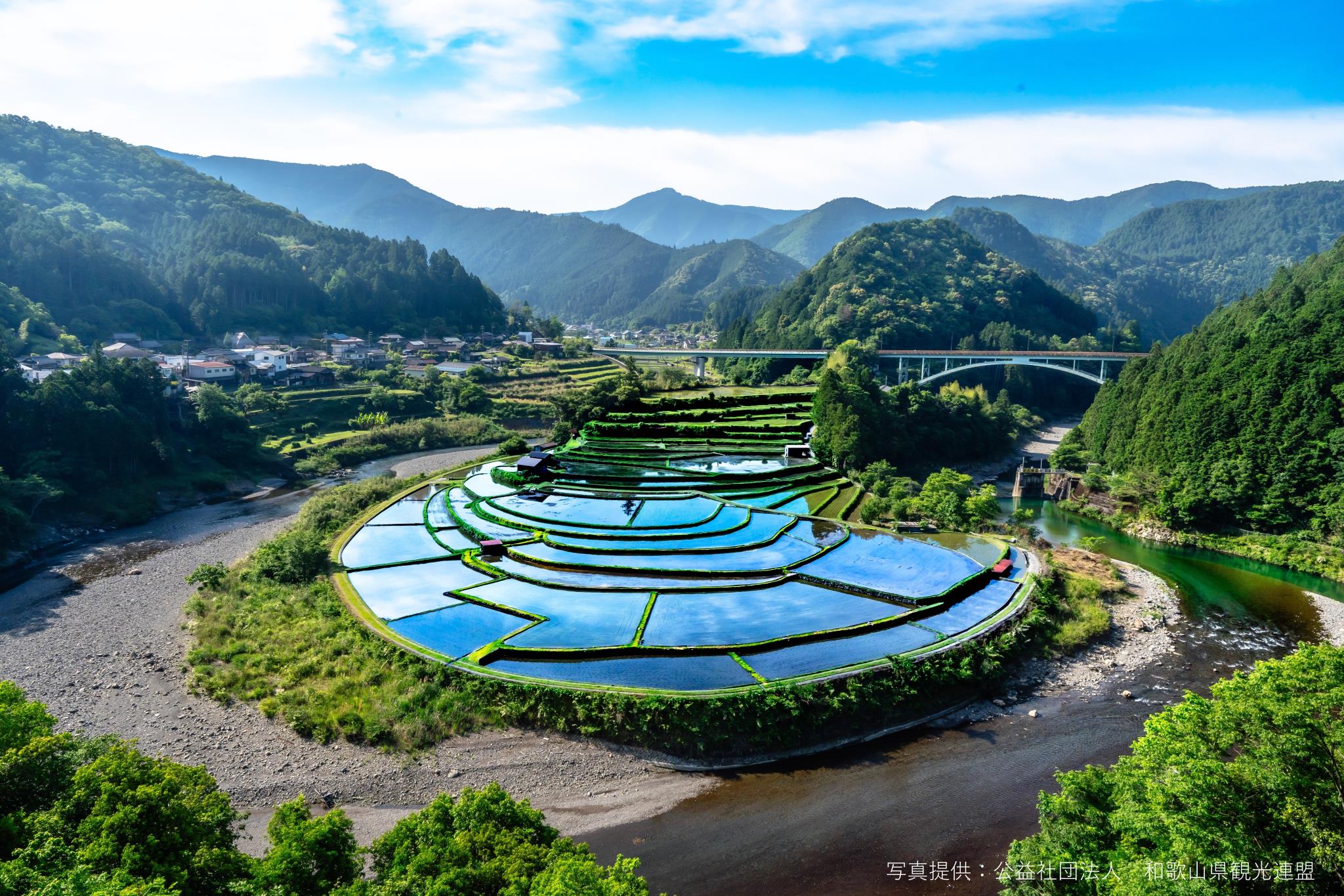 あらぎ島