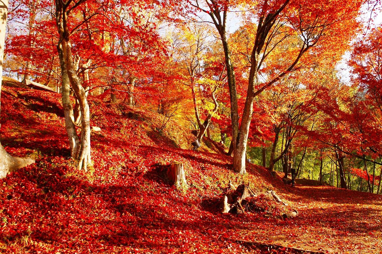 最上山公園もみじ山