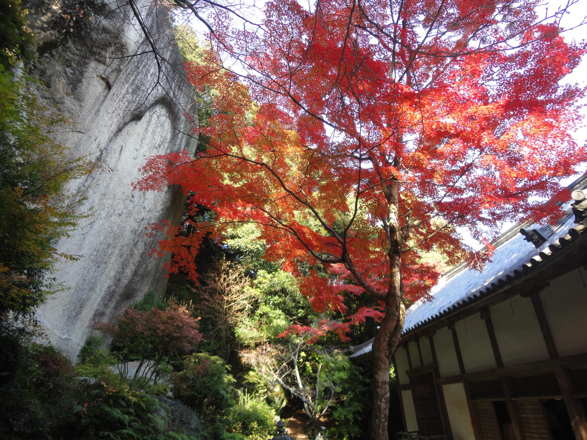 笠置寺