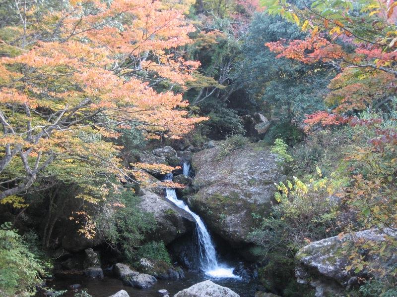 るり渓自然公園