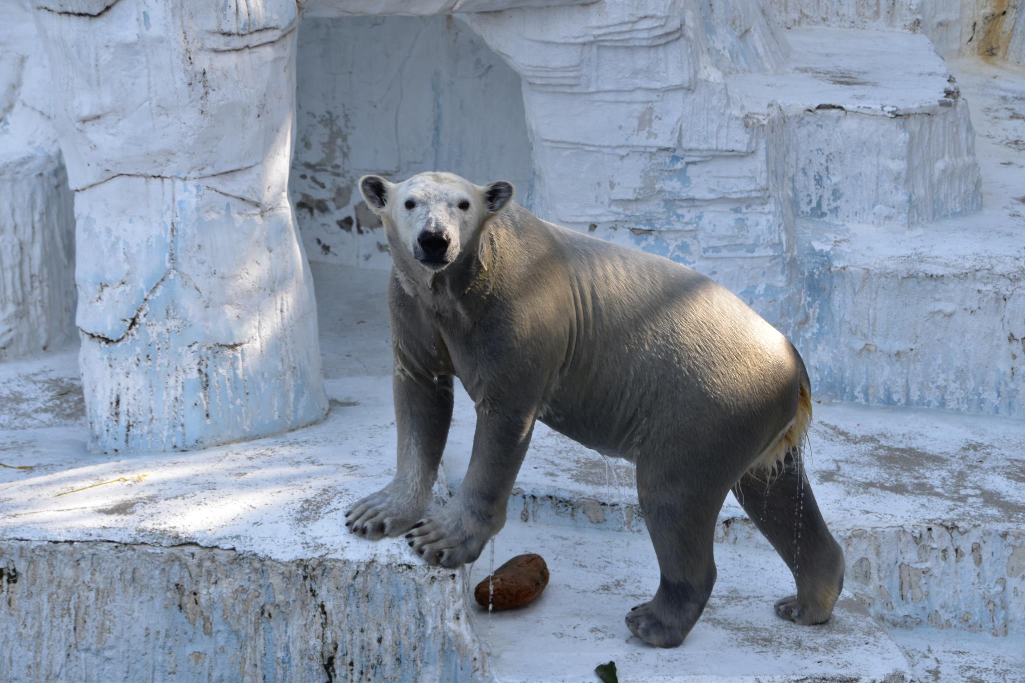 天王寺動物園