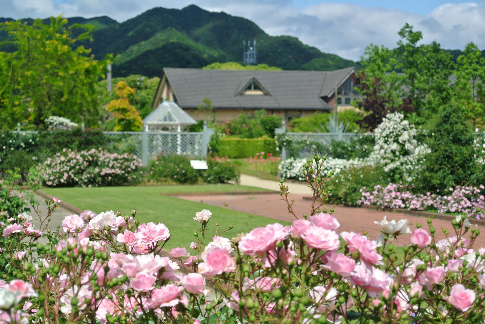 松阪農業公園ベルファーム