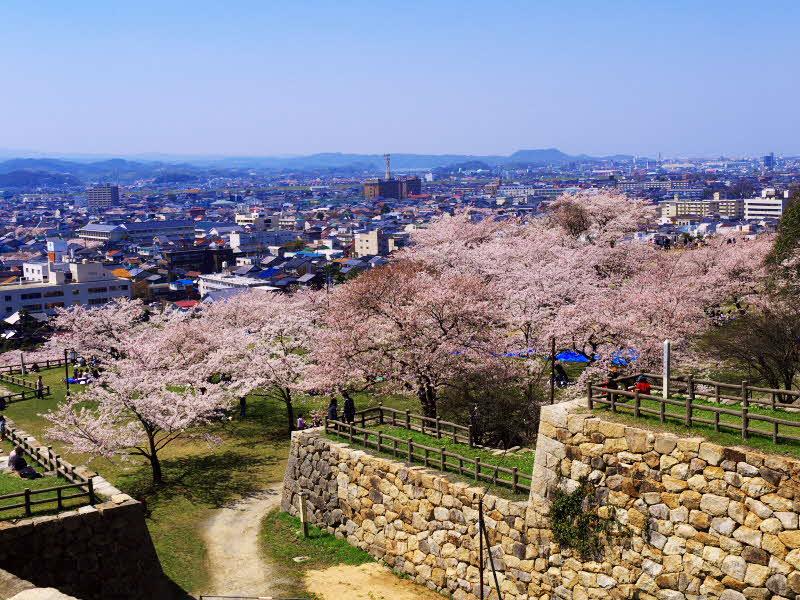 鳥取城跡