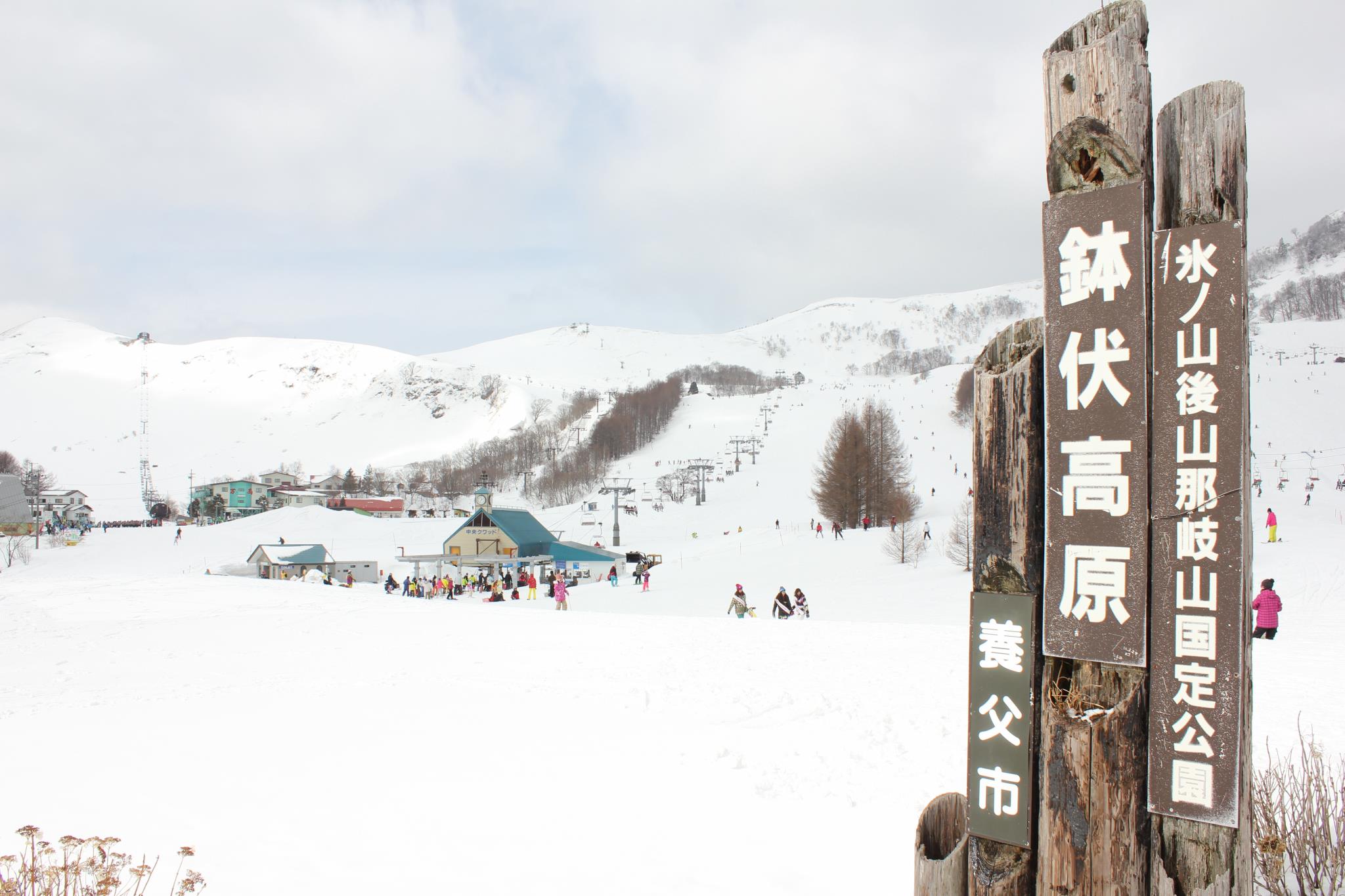 ハチ高原