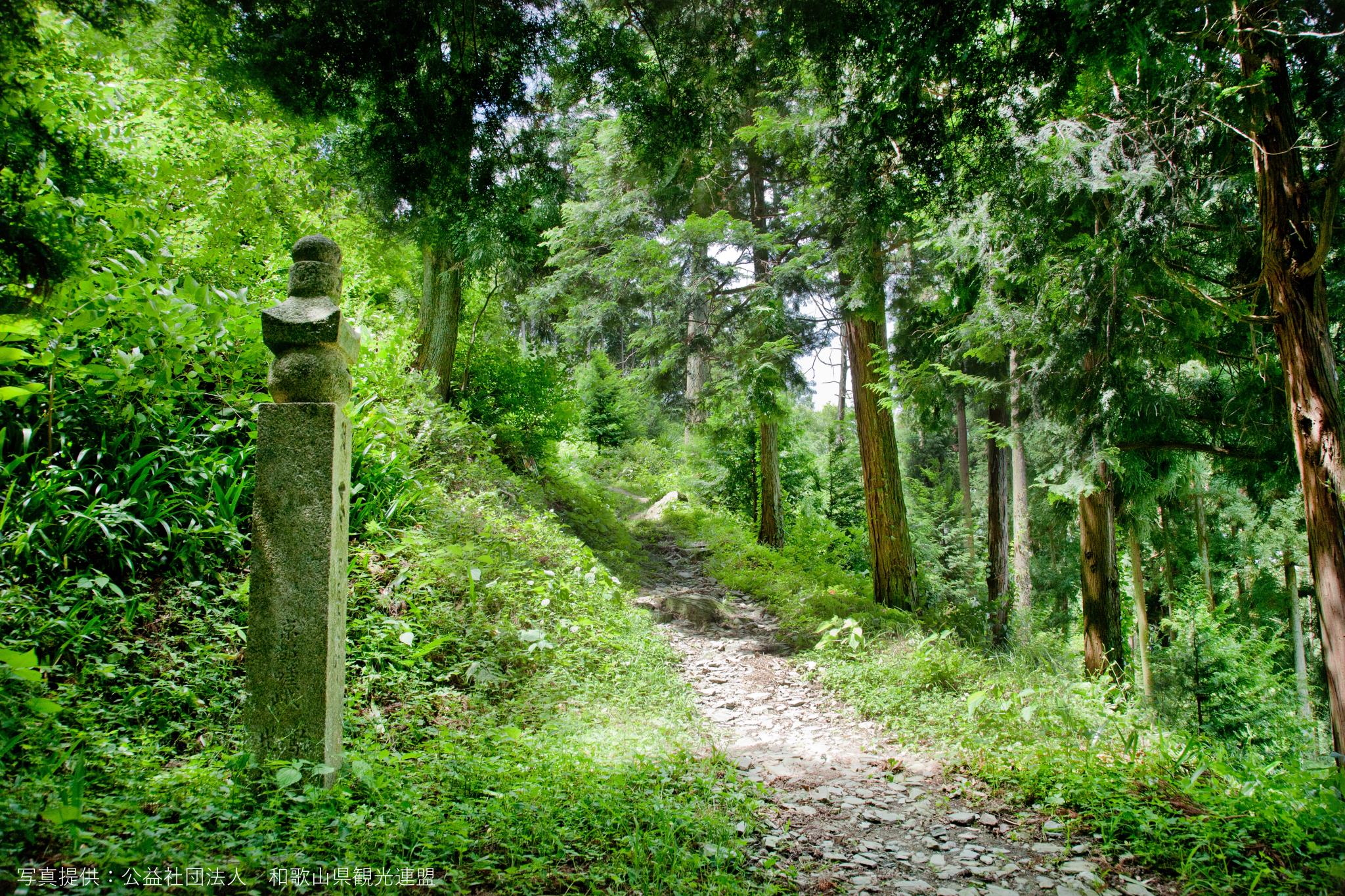 高野参詣道町石道