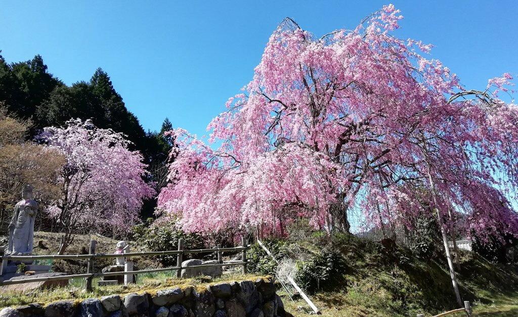 金花山　宝泉寺