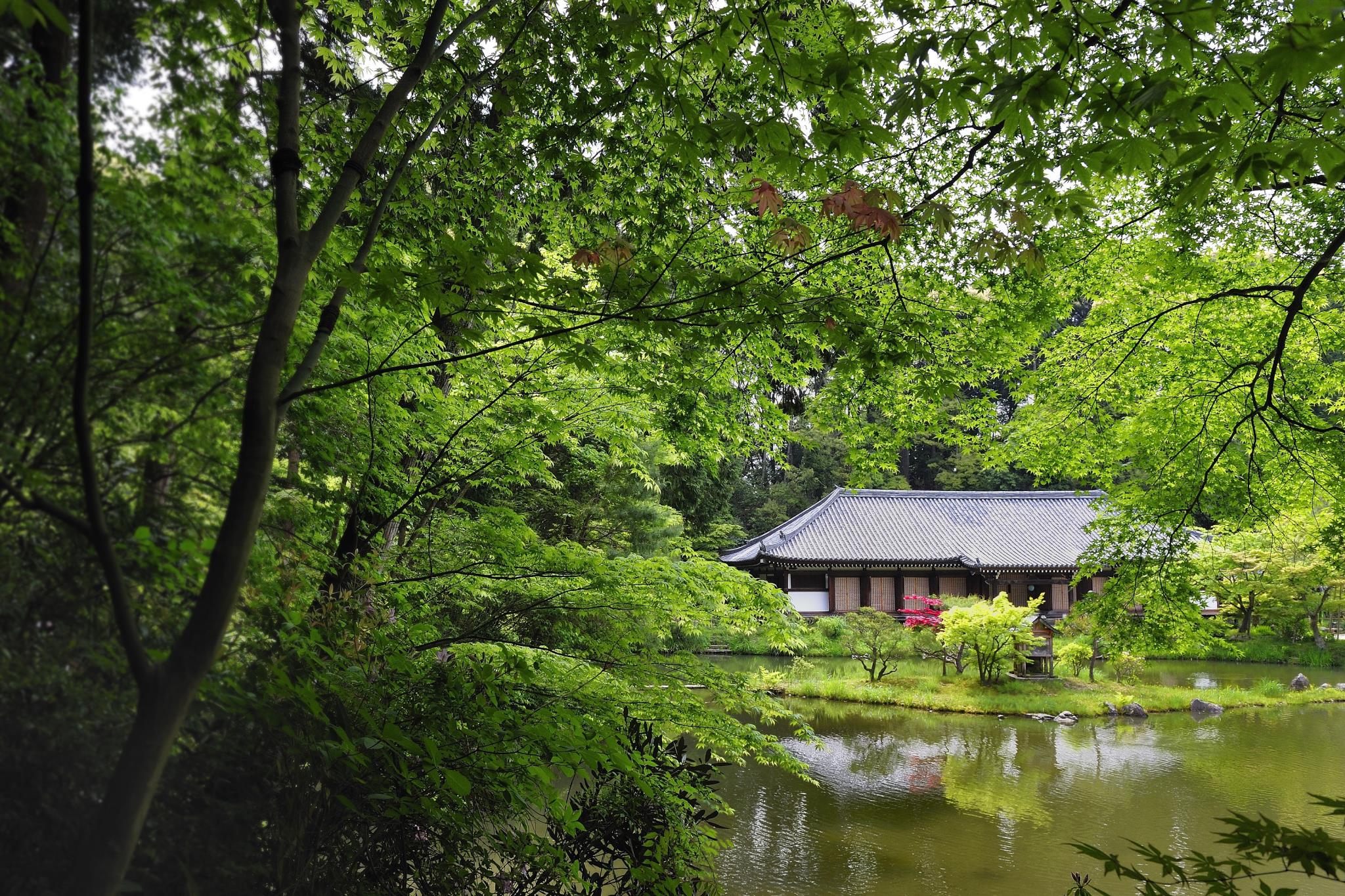 浄瑠璃寺