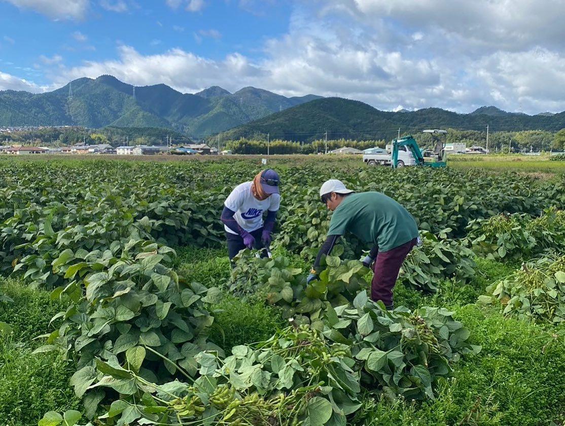 株式会社たぶち農場