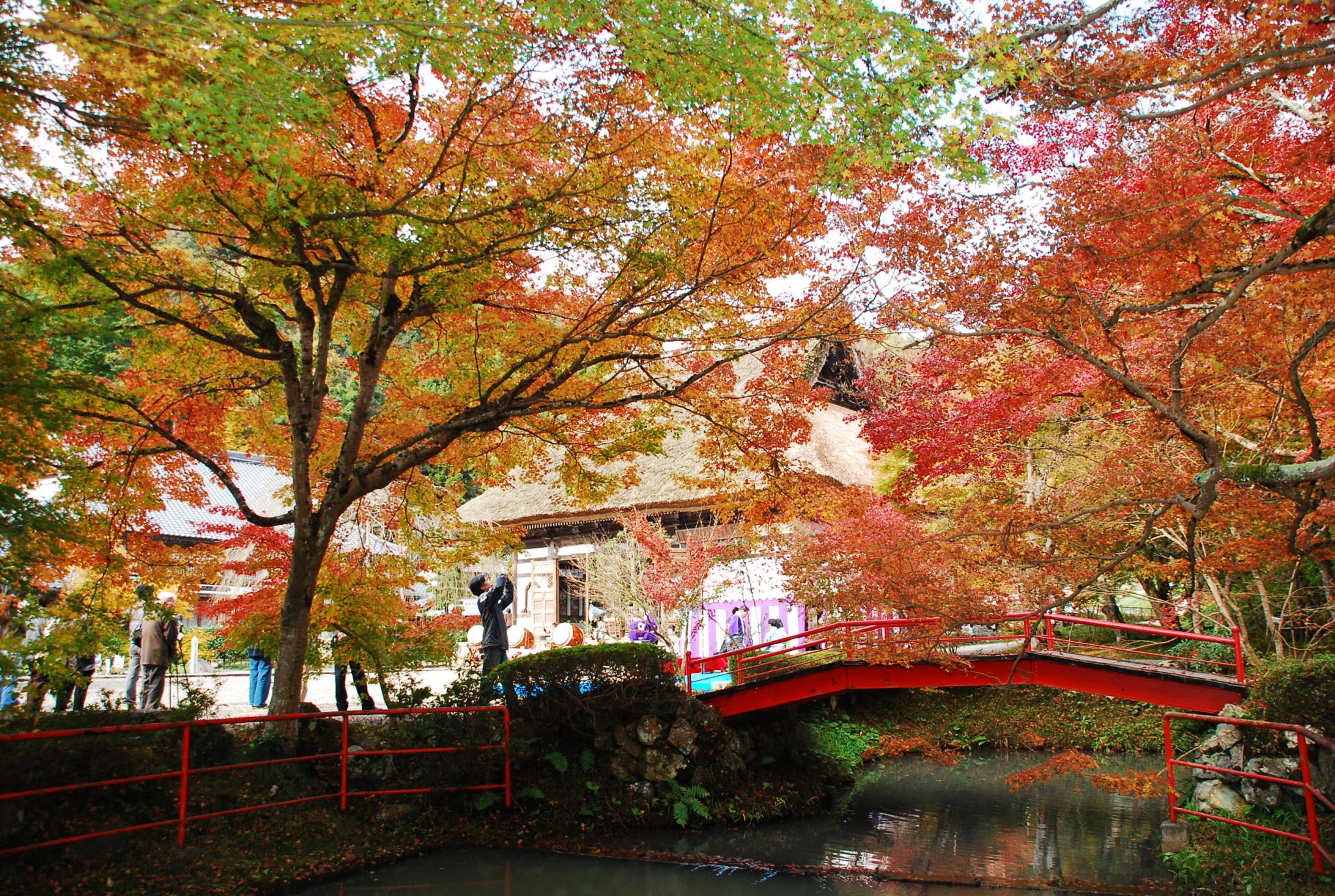 安国寺