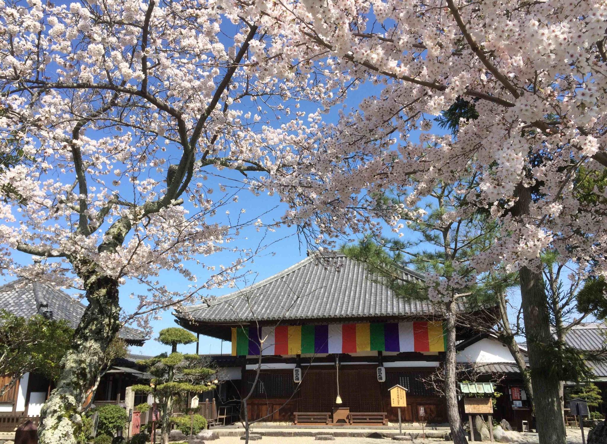 飛鳥寺