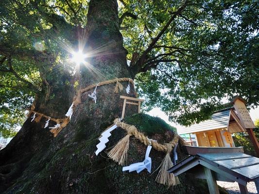 尾鷲神社