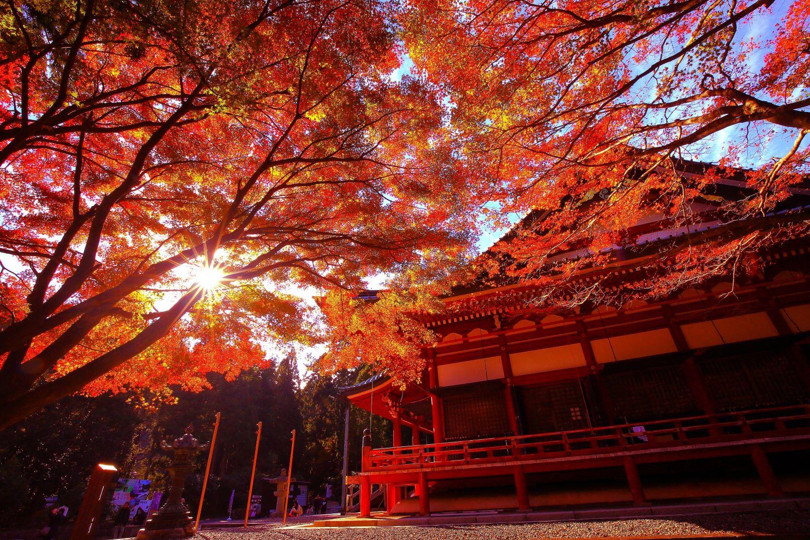 比叡山延暦寺