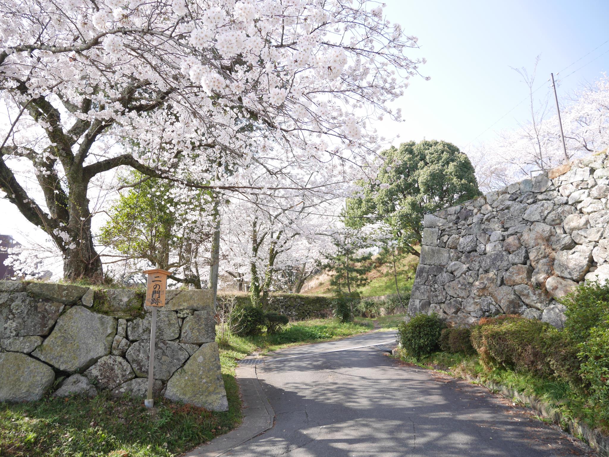 田丸城跡