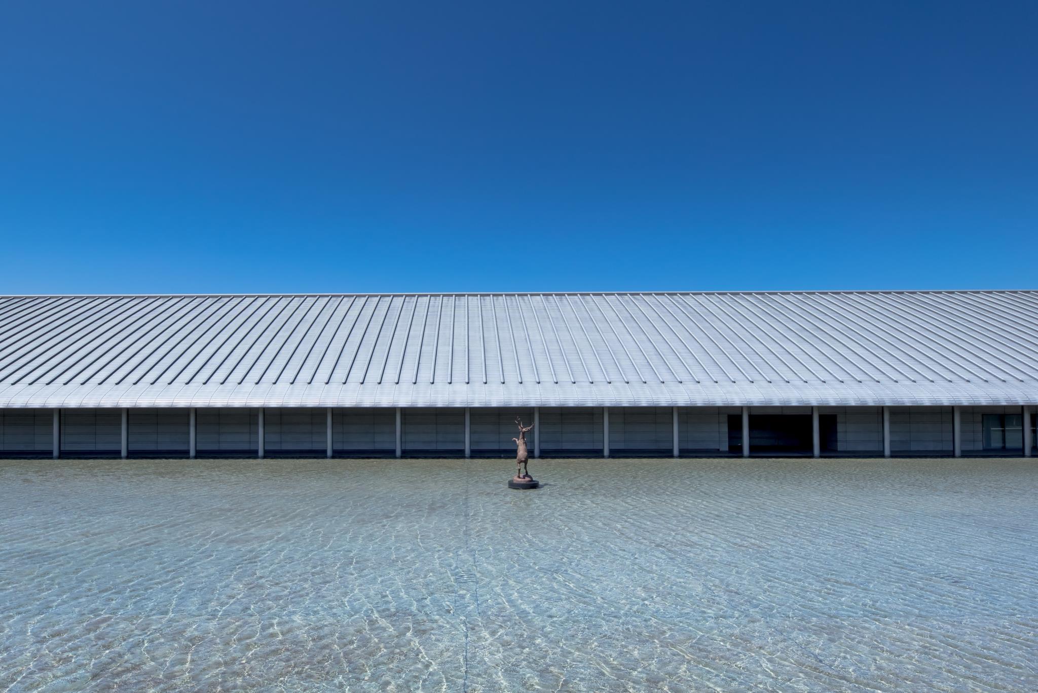 佐川美術館