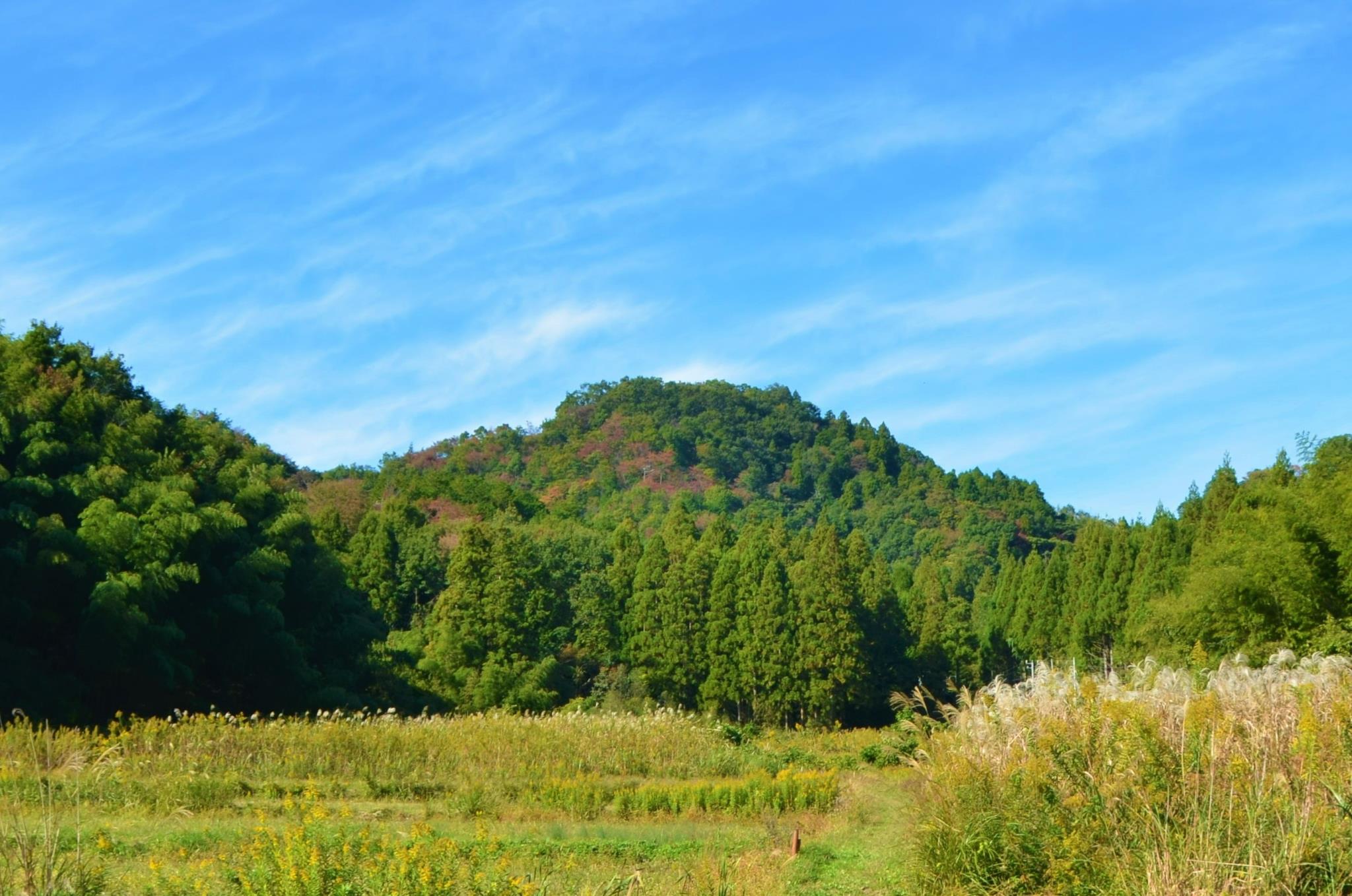 佐和山城跡