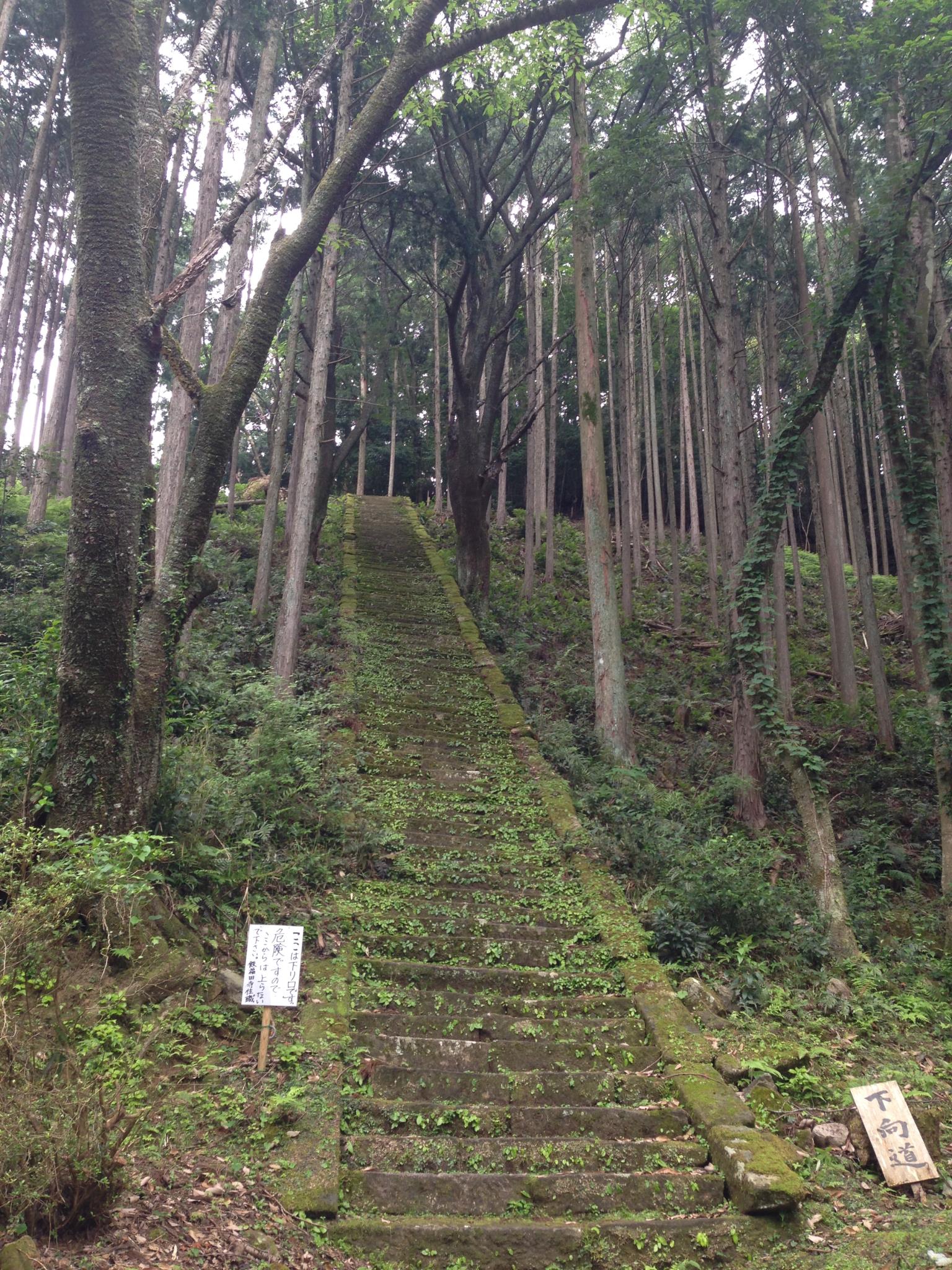 伊勢山上（飯福田寺）