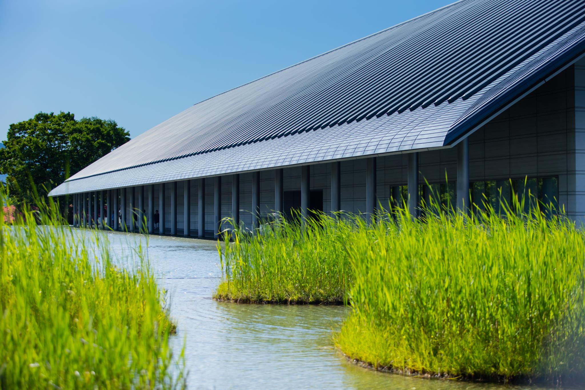 佐川美術館