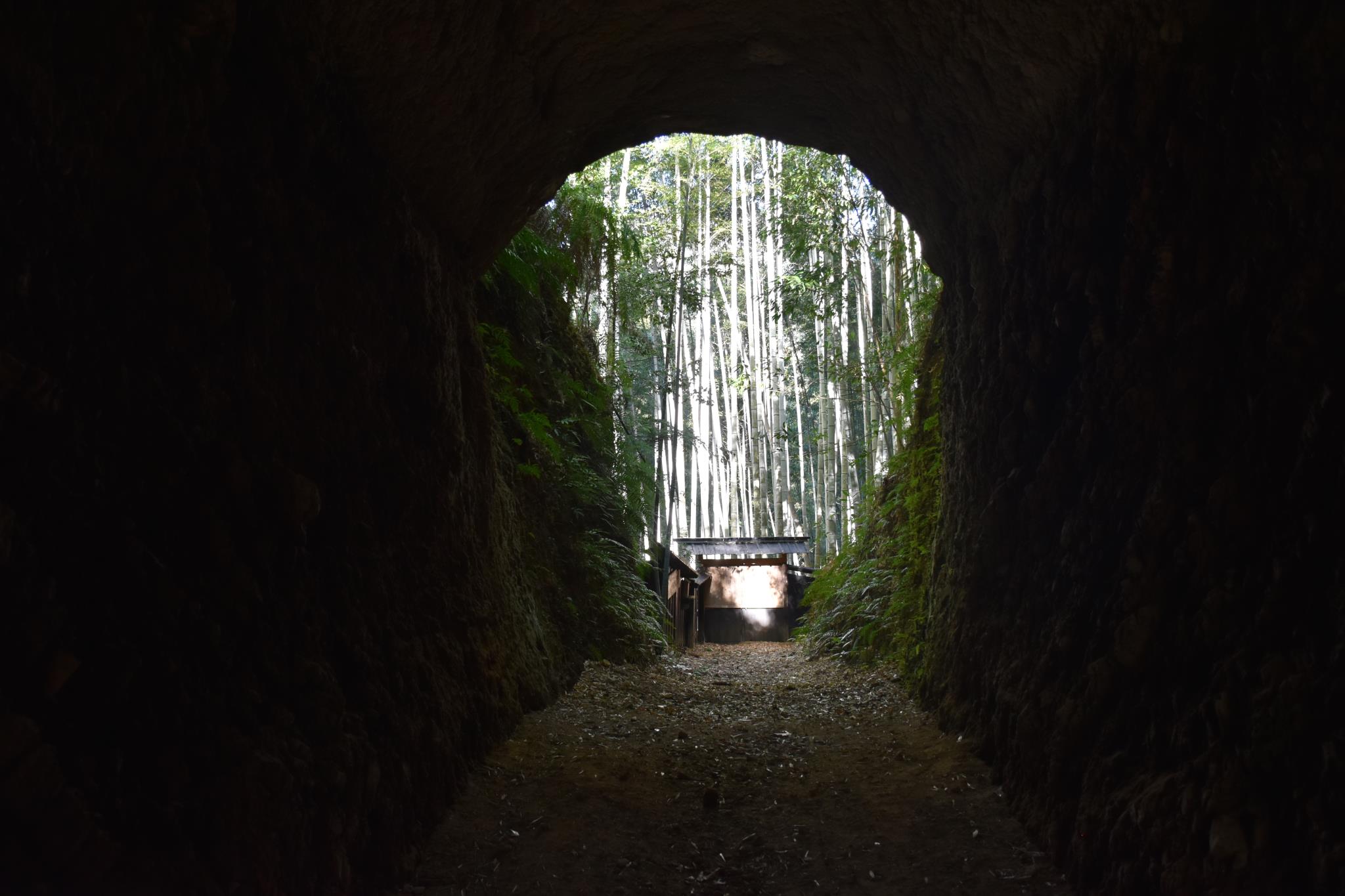 土井竹林