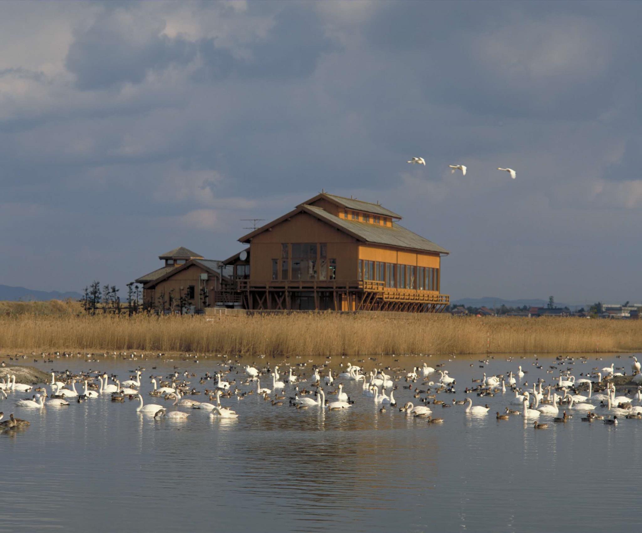 米子水鳥公園