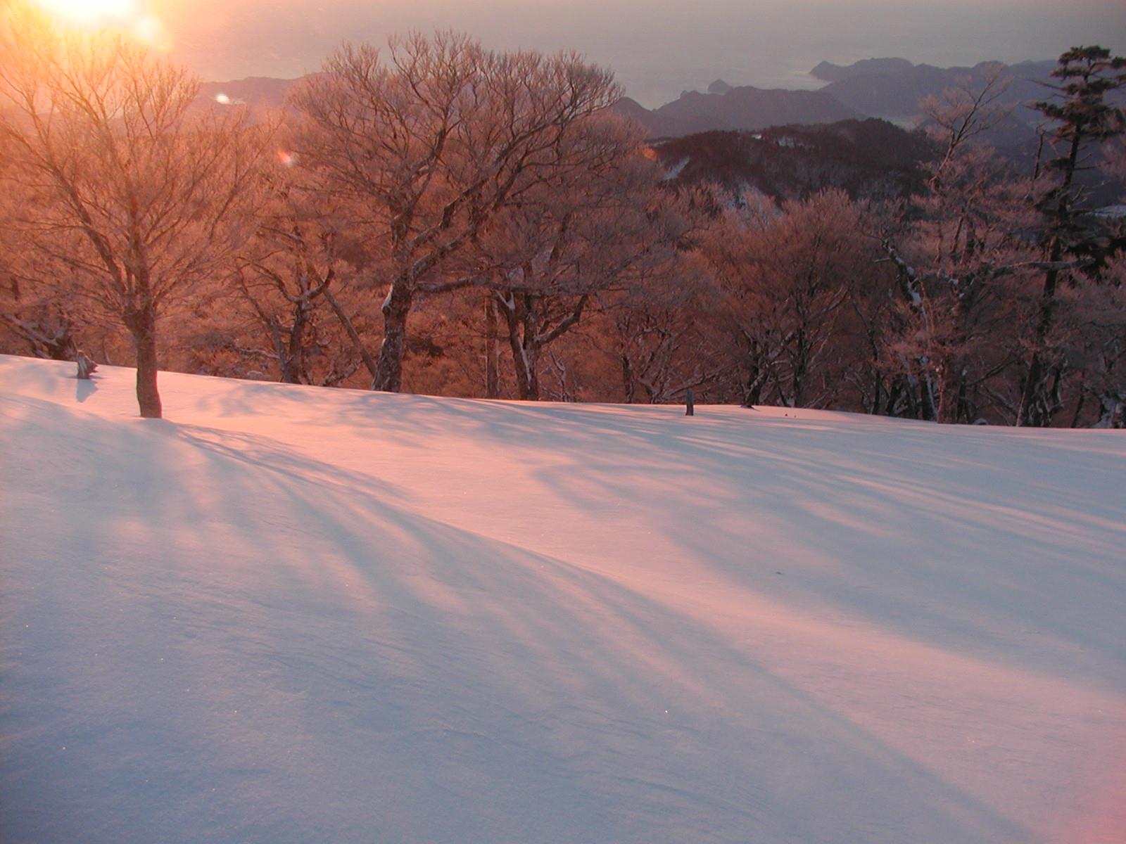 大杉谷登山道 （大杉谷登山センター）