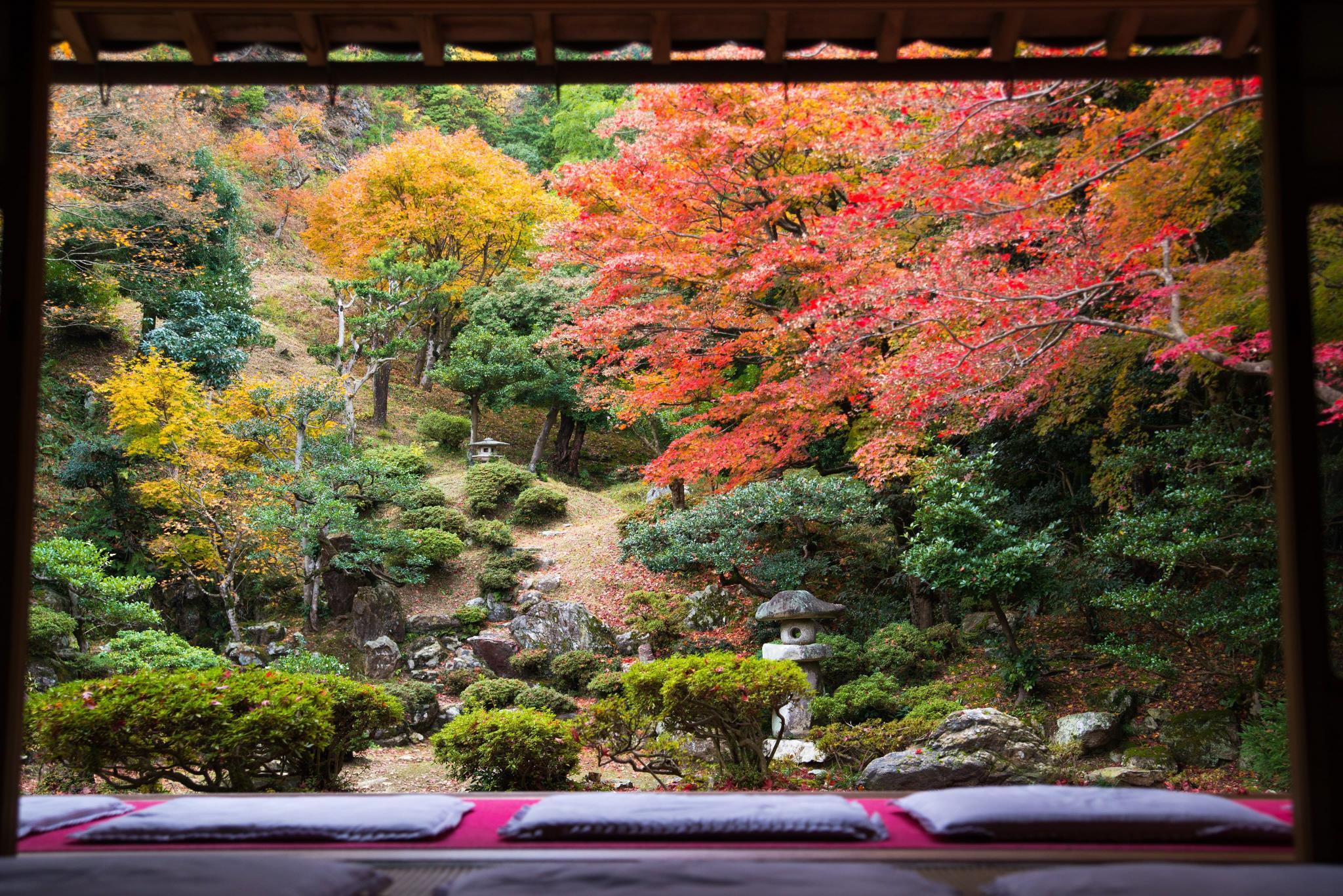 清瀧寺徳源院