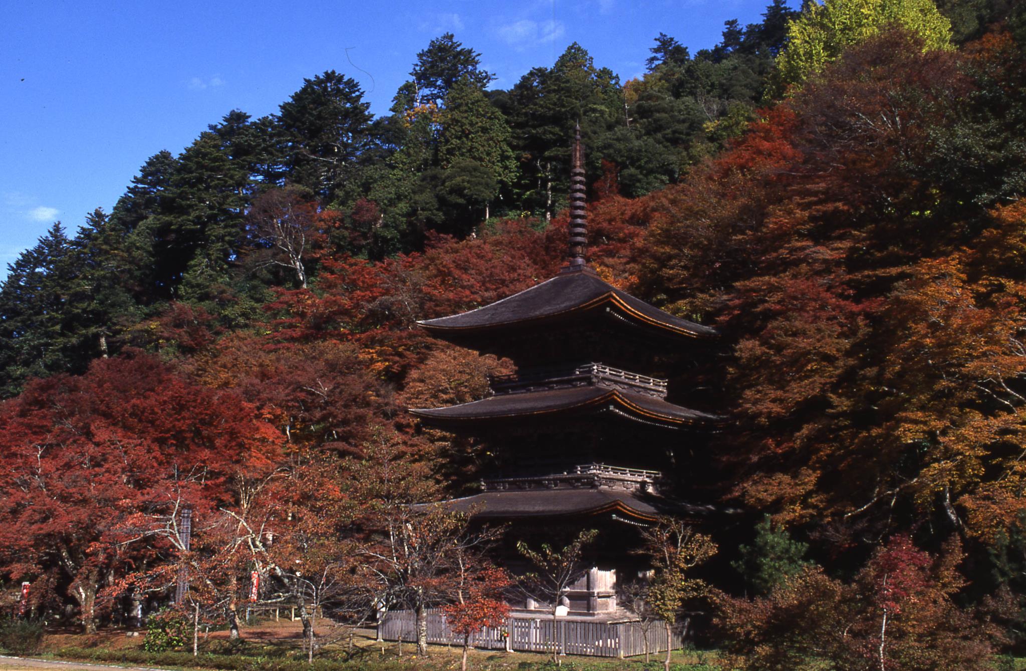 金剛院