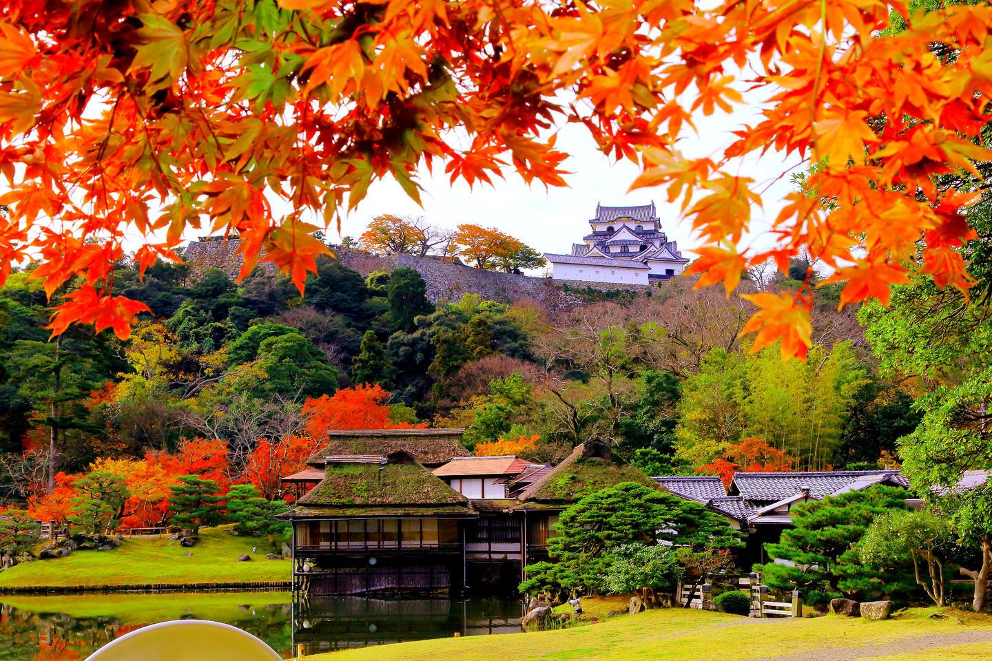 玄宮楽々園