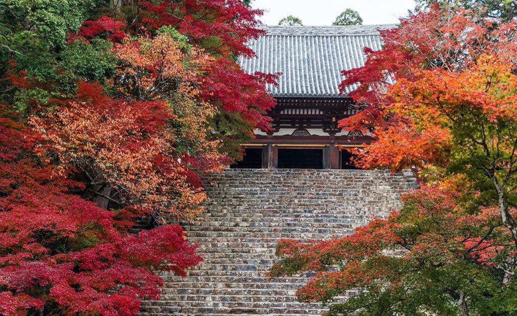 高山寺