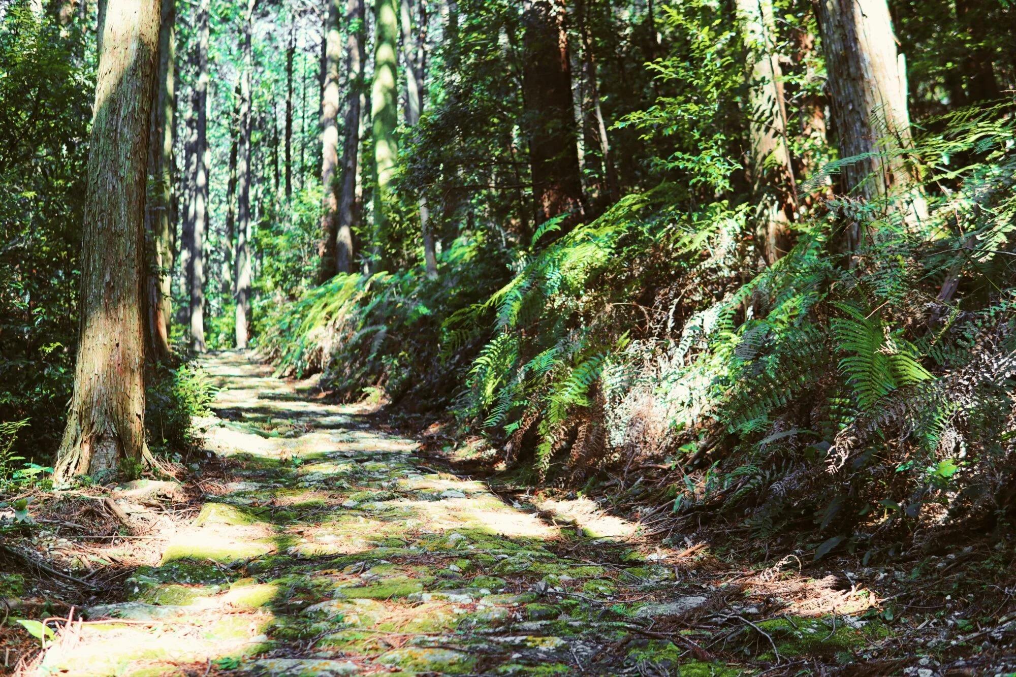 熊野古道　風伝峠