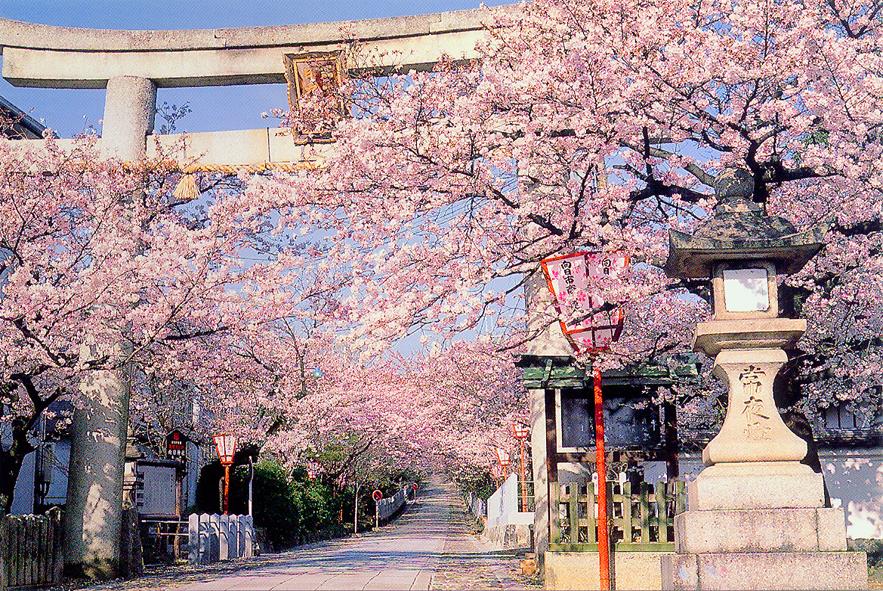 向日神社