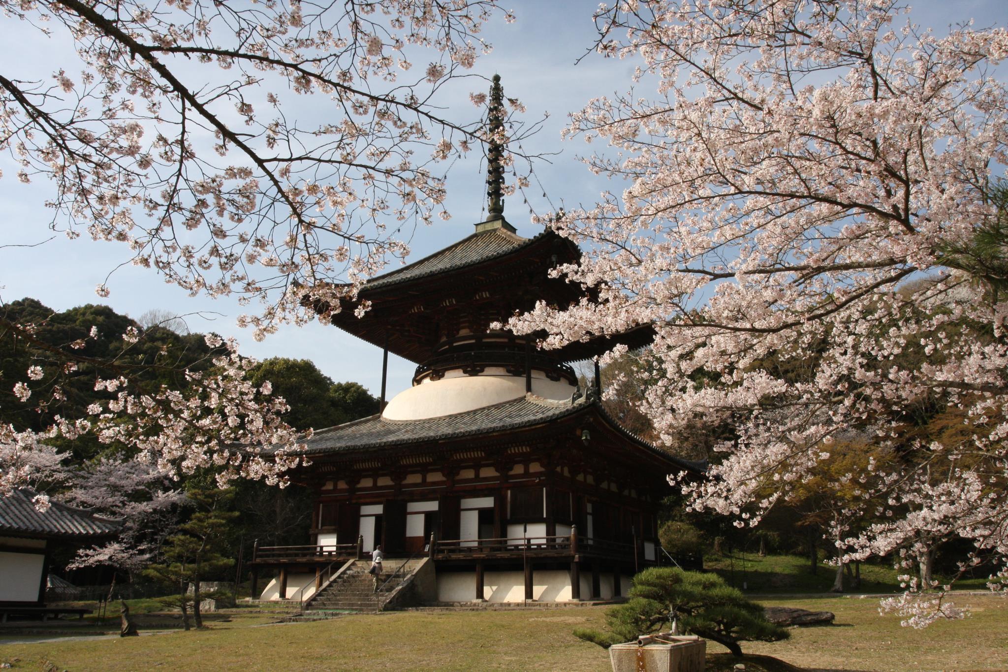 根来寺（根來寺）