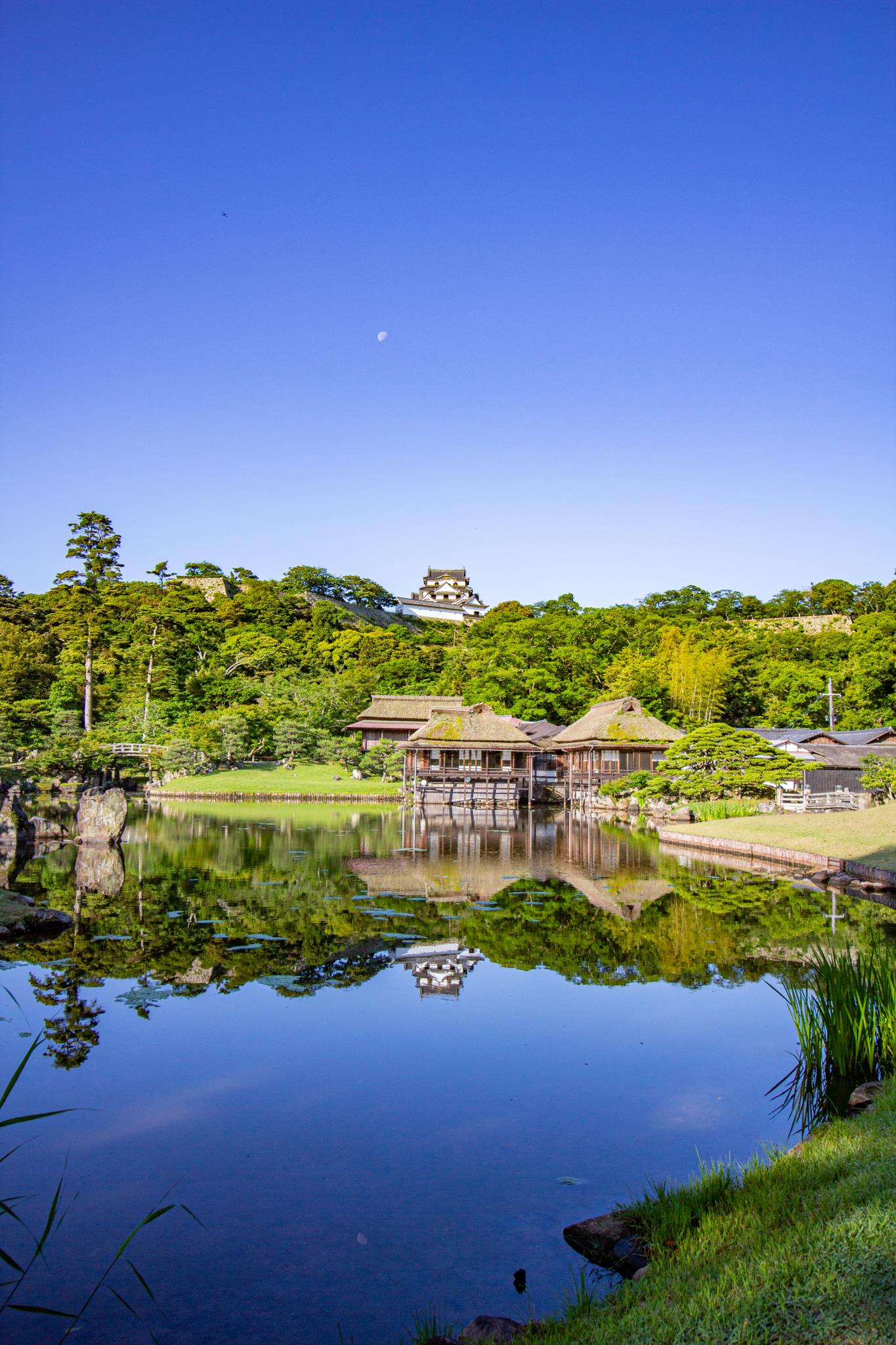 玄宮楽々園